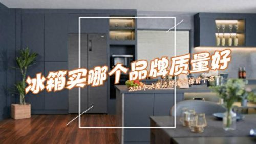 世界冰箱十大名牌排行榜(世界顶级奢侈冰箱)插图