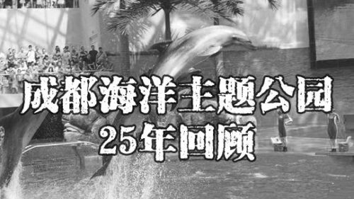 成都水族箱(鱼缸用品批发市场)插图