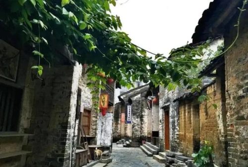 巷子里的阳光(巷子里的清香文章)插图1