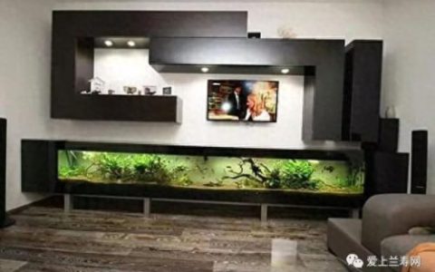 十大鱼缸品种排行榜(十大鱼缸排名前十名)