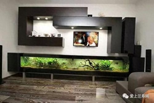 十大鱼缸品种排行榜(十大鱼缸排名前十名)插图