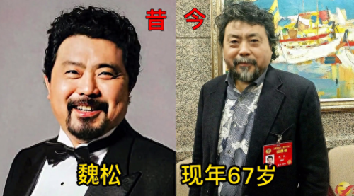 年度十大男高音演员排行榜(十大实力男演员)插图5