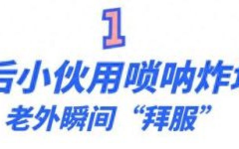 十大唢呐电音曲目排行榜(唢呐电音完整版)