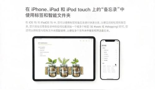 备忘录格式(备忘录格式怎么调整)插图10