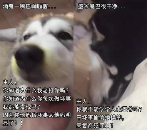 微博红人排行榜男(男网红排名前十)插图8