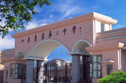 枣庄前十的小学排名(2019枣庄十五东校招生范围)插图2
