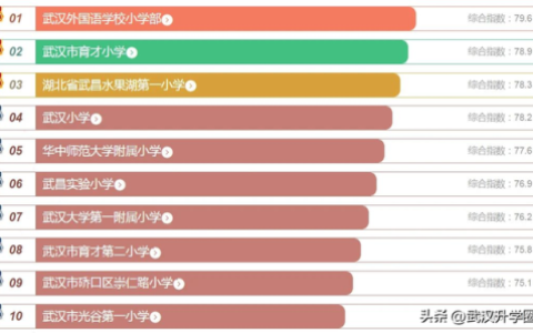 武汉小学中考排名前十(武汉光谷实验中学排名)