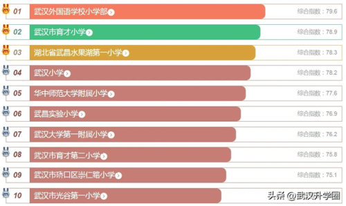 武汉小学中考排名前十(武汉光谷实验中学排名)插图