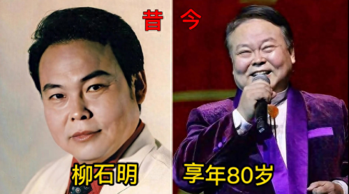 年度十大男高音演员排行榜(十大实力男演员)插图4