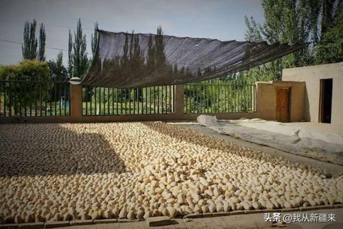 减肥香皂(减肥是靠什么排出脂肪的)插图8
