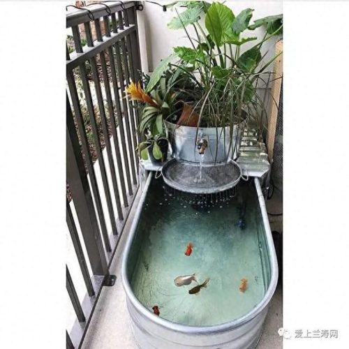 十大鱼缸品种排行榜(十大鱼缸排名前十名)插图9