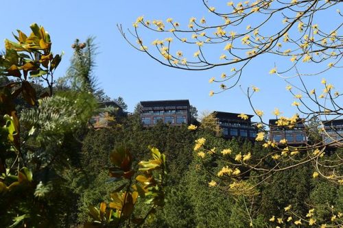 上海周边度假村(千岛湖民宿排名和价格)插图1