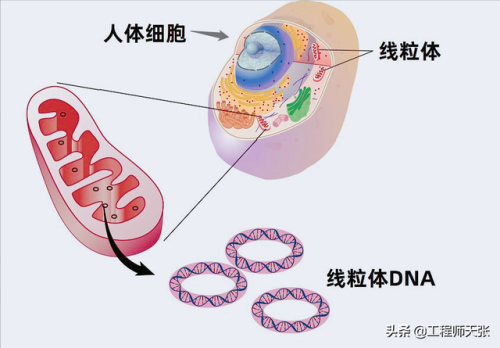 杭州杀妻案细节(杭州妻子消失案全过程)插图5