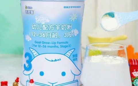 进口羊奶奶粉排行榜(最好的羊奶粉排名第一)