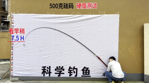 黑坑鱼竿品牌排行榜(黑坑用什么牌子鱼竿好)插图10