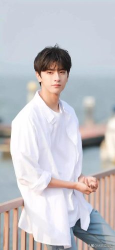 男星身高排行榜(身高190以上男明星)插图22