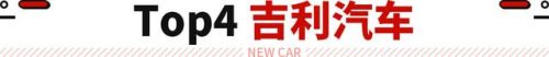 2017新能源排行榜(中国新能源企业100强)插图9