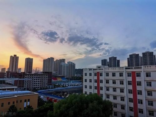 上海交通大学排行榜(上海交大发布的世界大学排名)插图17