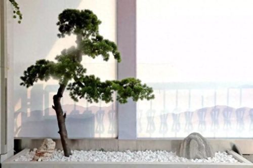 天津产后康复锻炼排名前十(天津产后恢复店排行榜)插图8