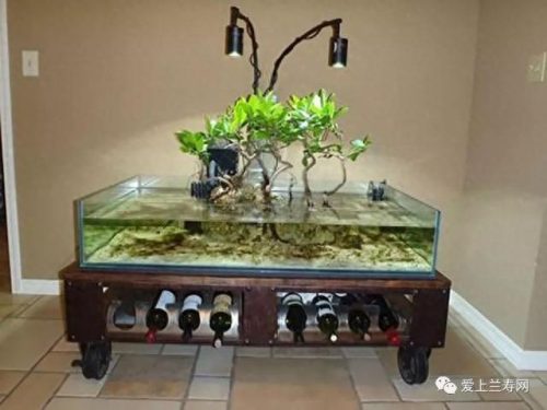十大鱼缸品种排行榜(十大鱼缸排名前十名)插图15
