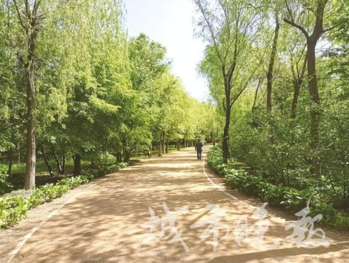 长春绿化景点排名前十(长春市旅游景点一日游)插图4