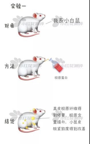 女人喝的口服液排行榜(十大名牌补血口服液)插图2