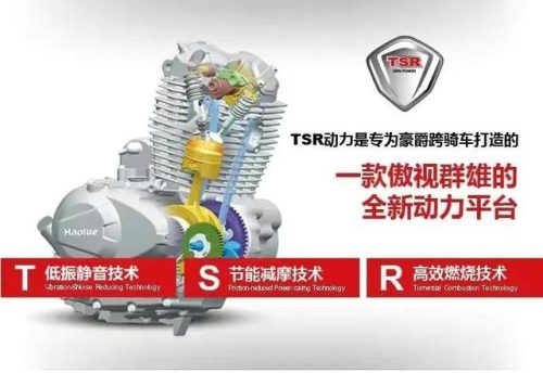 小排量越野车(小排量越野车型哪个好)插图2