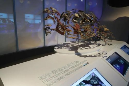 海洋生物资源最丰富的大洋(目前已知的海洋生物有多少种)插图29