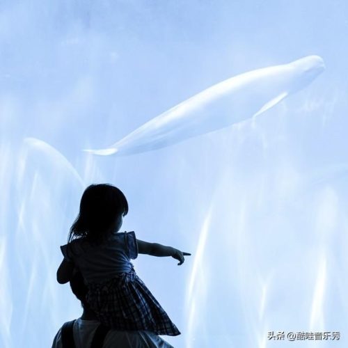 抖音歌曲排行榜前十名(网络歌曲2023年流行歌曲排行榜)插图4