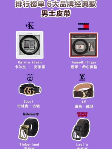 奢饰品皮带排名前十(爱马仕经典系列的价格)插图
