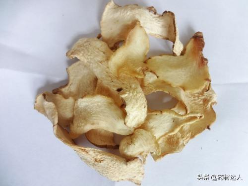 黄精的产地(黄精产地哪里的最好)插图