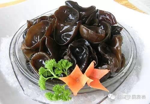 康县宾馆排名前十酒店(康县酒吧)插图42