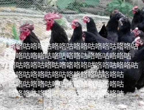 中国方言口音排名前十(最受欢迎的方言排行榜)插图14