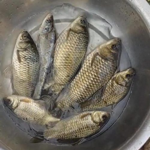 鱼料排行榜(火锅底料十大名牌)插图3