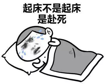 睡眠面膜排行榜10强(熬夜面膜排行榜前十名)插图