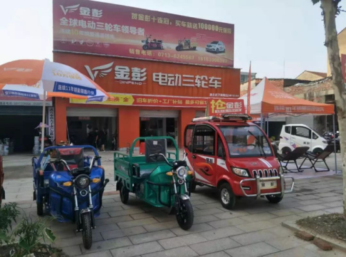 电动三轮车销量排行榜(中国最好三轮车排名)插图2