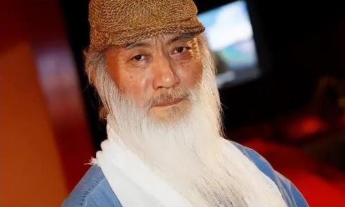 大陆武术排行榜(世界武术排名第一是谁)插图9