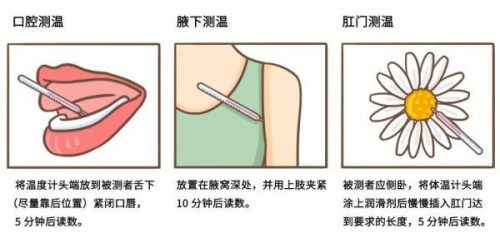 体温多少算发烧(37.2°c算不算发烧)插图2