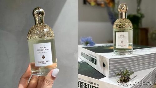 香水有哪些品牌(香水排行榜前十名)插图5