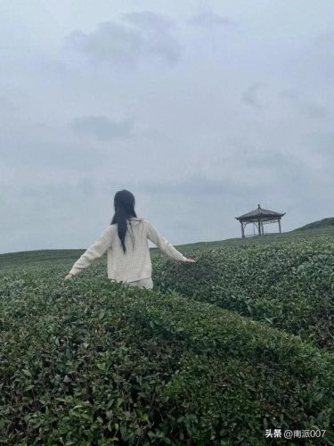 听妈妈讲那过去的事情原唱(夜夜想起妈妈的话闪闪的泪光歌词)插图