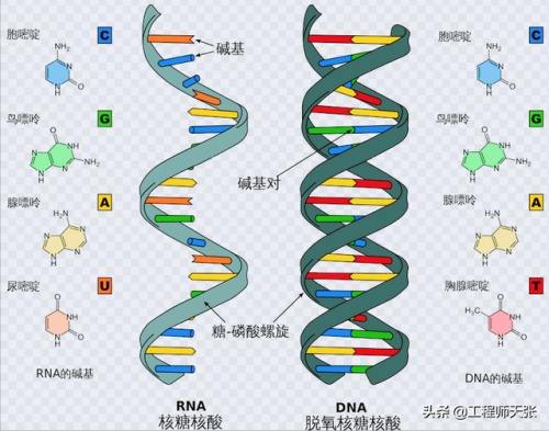 杭州杀妻案细节(杭州妻子消失案全过程)插图7