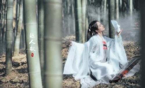 山有木兮木有枝心悦君兮君不知(类似山有木兮的情话)插图2