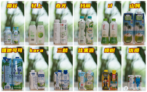 椰子汁品牌排行榜前十名(中国十大椰子汁品牌)插图5