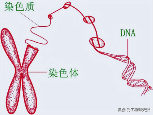 杭州杀妻案细节(杭州妻子消失案全过程)插图10