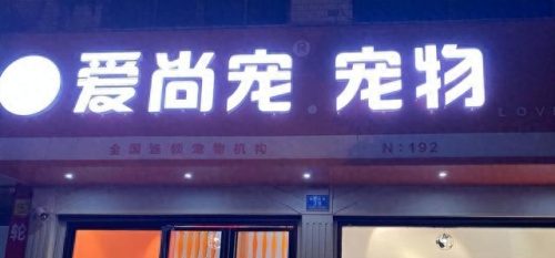 中国十大吃龟品牌排行榜(大龟哪个牌子好)插图10