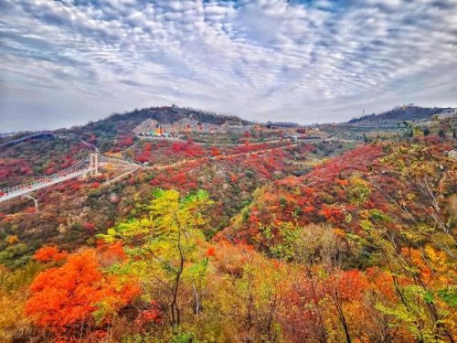 潍坊好玩的地方排行榜(潍坊市景点大全)插图32
