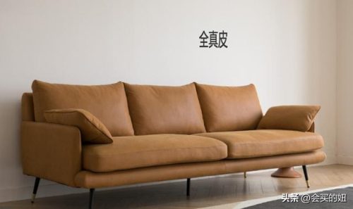 皮沙发排行榜(真皮沙发十大名牌排名价格图)插图9