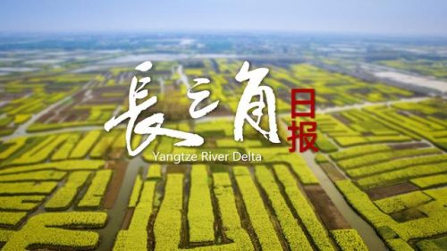 2017年城市排行榜(广西排名城市排行榜)插图