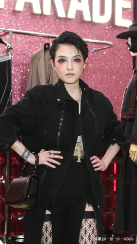 中国摇滚女歌手排行榜(内地第一女摇滚女歌手)插图3