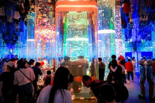 郑州旅游公司(郑州一日游必去的地方)插图5
